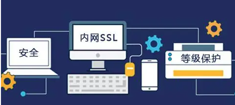 中文域名可以申请SSL证书吗