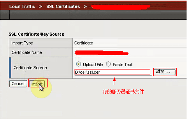 导入服务器证书Import Type：选择Certificate