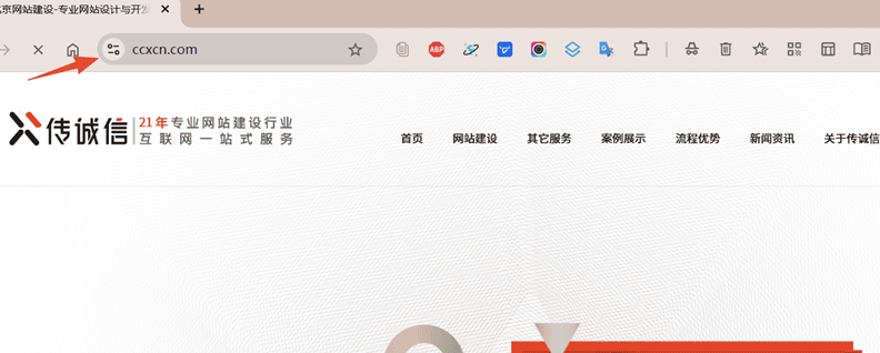 使用HTTPS的网站截图