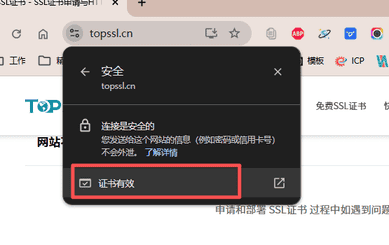 点击浏览器地址栏：查看证书图示