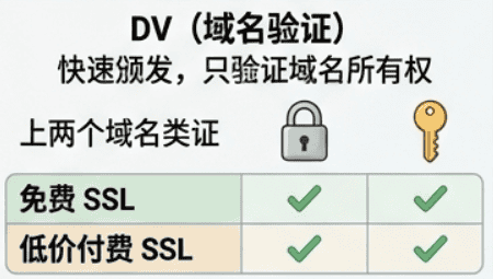 DV ssl证书特点
