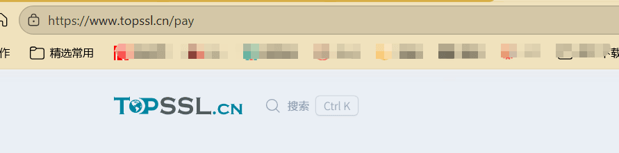 TopSSL